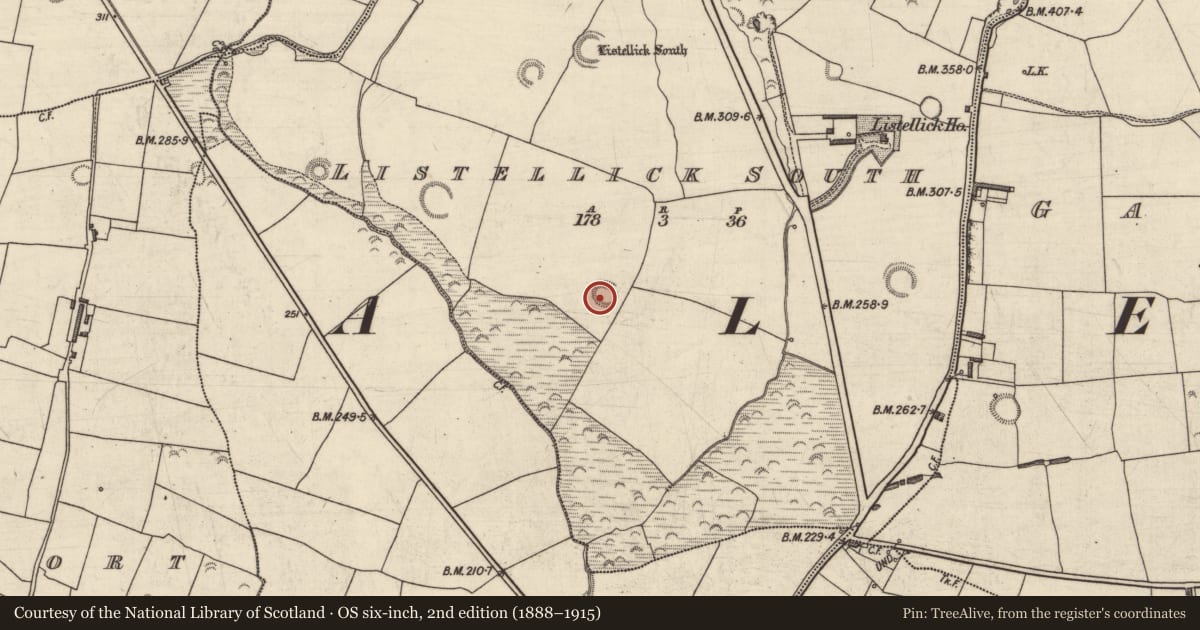 Ordnance Survey six-inch map, 2nd edition (1888–1915) covering the location of Souterrain, Listellick South, County Kerry, with a pin at the register's coordinates