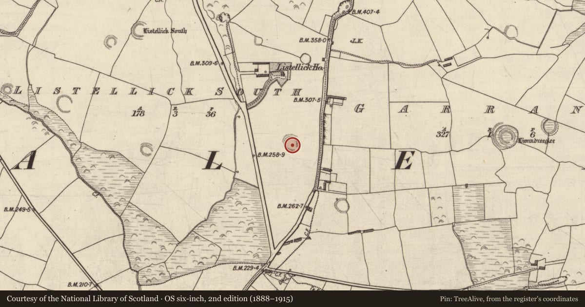 Ordnance Survey six-inch map, 2nd edition (1888–1915) covering the location of Ringfort - rath, Listellick South, County Kerry, with a pin at the register's coordinates