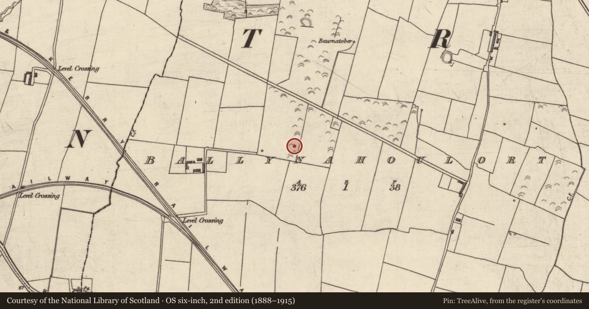 Ordnance Survey six-inch map, 2nd edition (1888–1915) covering the location of Enclosure, Ballynahoulort, County Kerry, with a pin at the register's coordinates