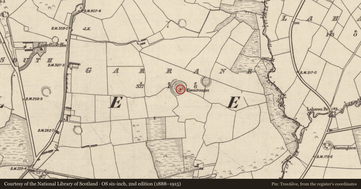 Ordnance Survey six-inch map, 2nd edition (1888–1915) covering the location of Ringfort - rath, Garrane, County Kerry, with a pin at the register's coordinates