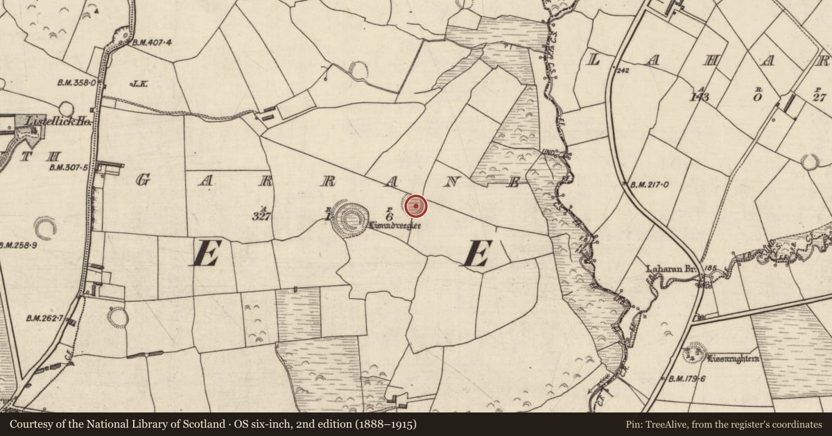 Ordnance Survey six-inch map, 2nd edition (1888–1915) covering the location of Ringfort - rath, Garrane, County Kerry, with a pin at the register's coordinates