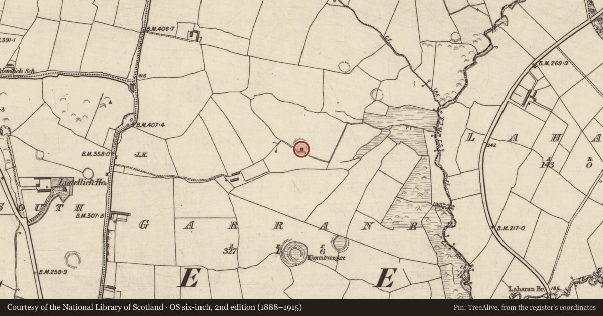 Ordnance Survey six-inch map, 2nd edition (1888–1915) covering the location of Ringfort - rath, Garrane, County Kerry, with a pin at the register's coordinates
