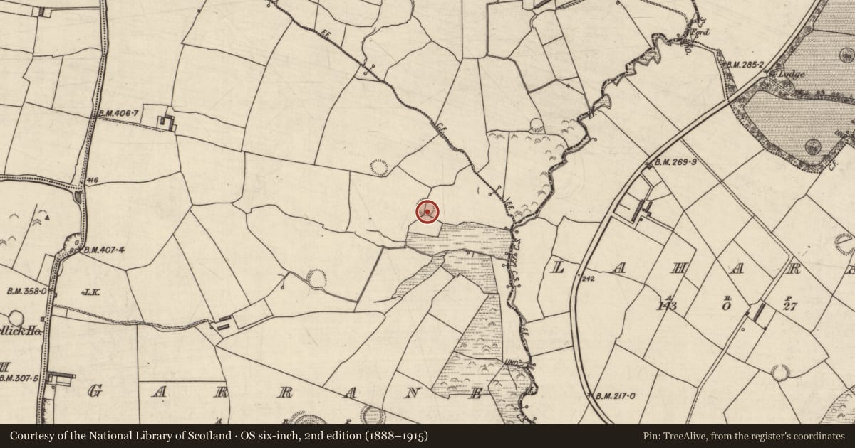 Ordnance Survey six-inch map, 2nd edition (1888–1915) covering the location of Ringfort - rath, Garrane, County Kerry, with a pin at the register's coordinates