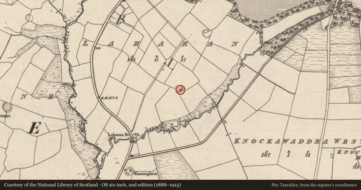 Ordnance Survey six-inch map, 2nd edition (1888–1915) covering the location of Enclosure, Laharan, County Kerry, with a pin at the register's coordinates