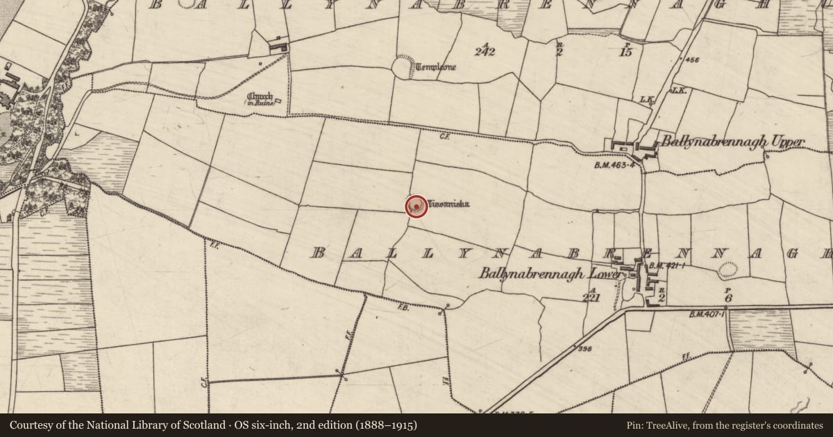 Ordnance Survey six-inch map, 2nd edition (1888–1915) covering the location of Ringfort - rath, Ballynabrennagh Lower, County Kerry, with a pin at the register's coordinates