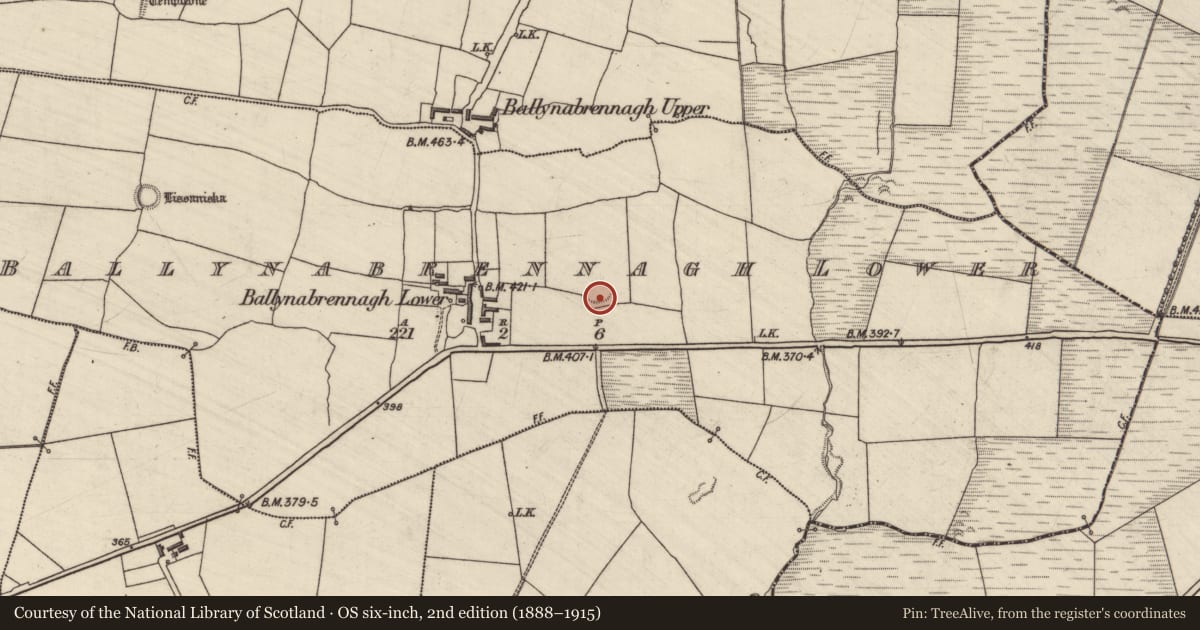 Ordnance Survey six-inch map, 2nd edition (1888–1915) covering the location of Enclosure, Ballynabrennagh Lower, County Kerry, with a pin at the register's coordinates