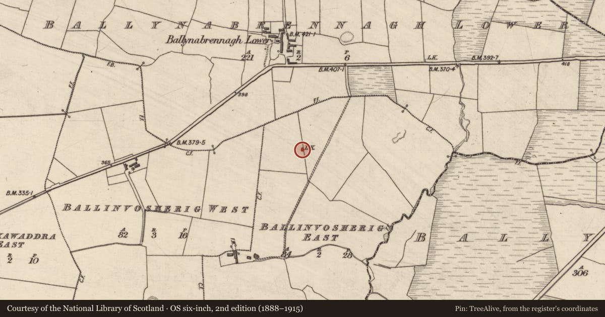 Ordnance Survey six-inch map, 2nd edition (1888–1915) covering the location of Kiln - lime, Ballinvosherig East, County Kerry, with a pin at the register's coordinates