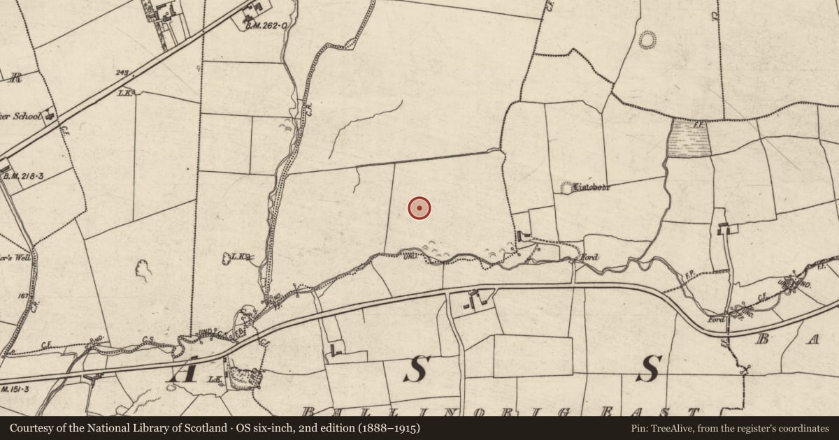 Ordnance Survey six-inch map, 2nd edition (1888–1915) covering the location of Enclosure, Knockawaddra East, County Kerry, with a pin at the register's coordinates