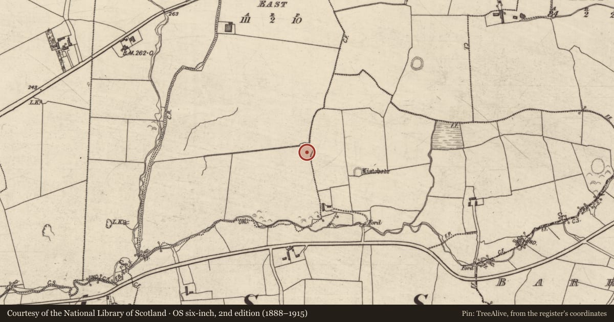 Ordnance Survey six-inch map, 2nd edition (1888–1915) covering the location of Enclosure, Ballinorig East, Knockawaddra East, County Kerry, with a pin at the register's coordinates