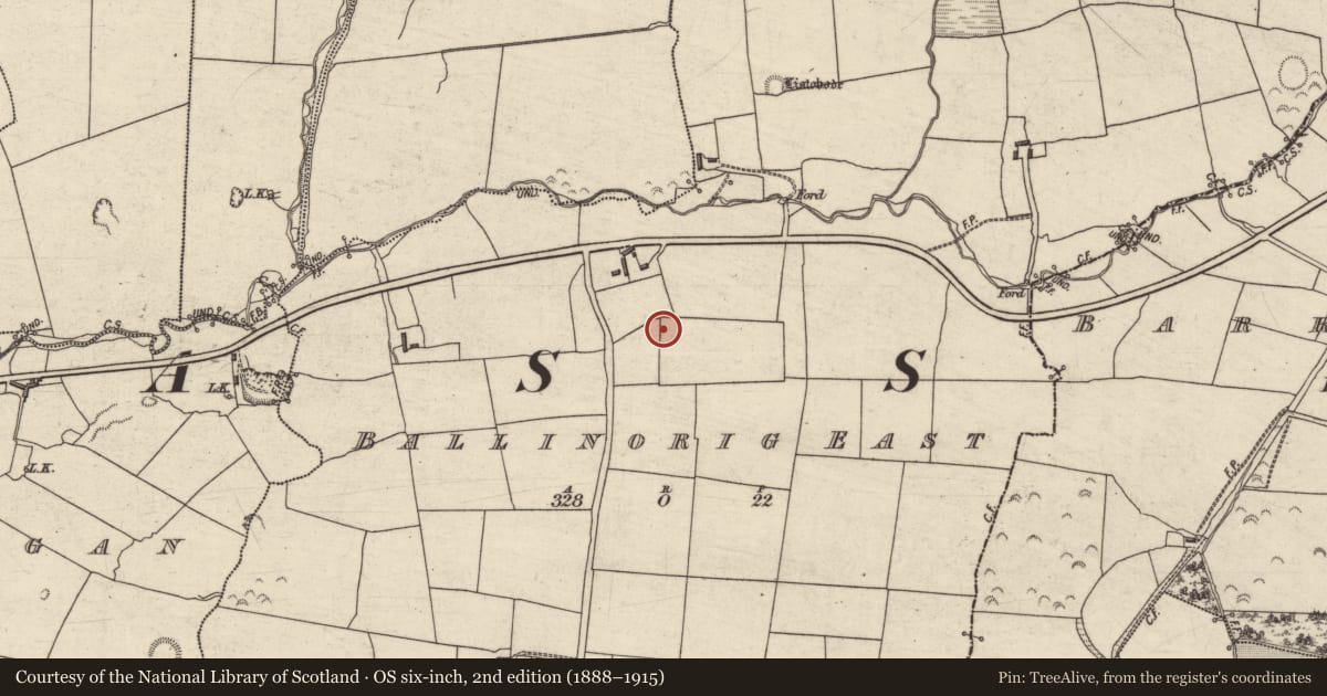 Ordnance Survey six-inch map, 2nd edition (1888–1915) covering the location of Enclosure, Ballinorig East, County Kerry, with a pin at the register's coordinates