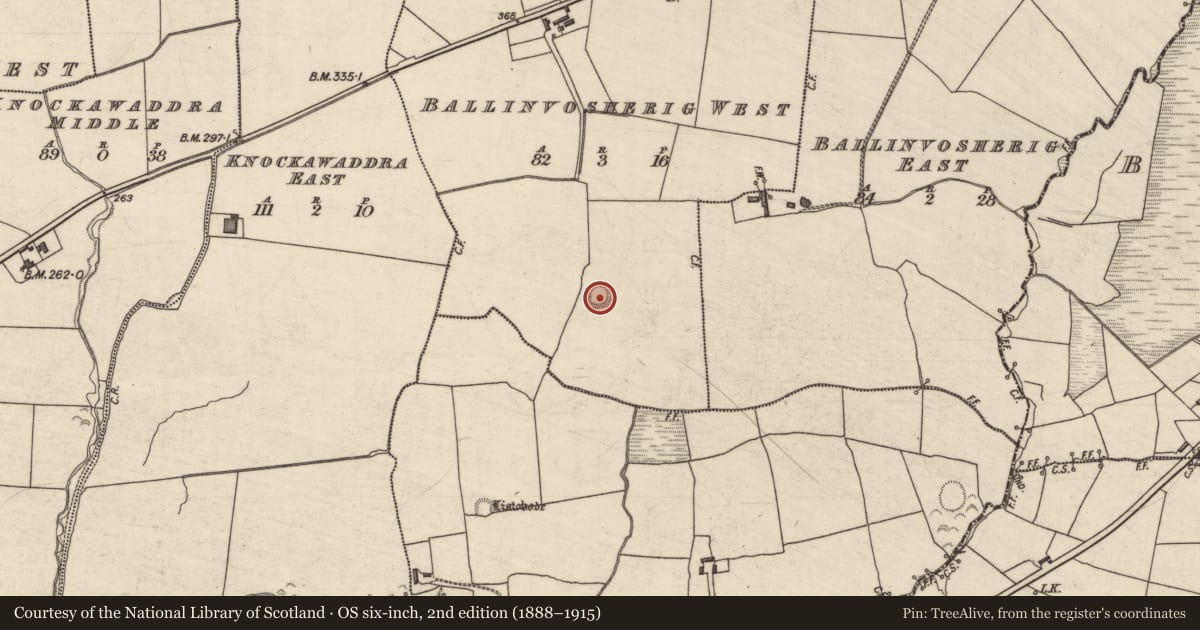 Ordnance Survey six-inch map, 2nd edition (1888–1915) covering the location of Enclosure, Ballinvosherig West, County Kerry, with a pin at the register's coordinates