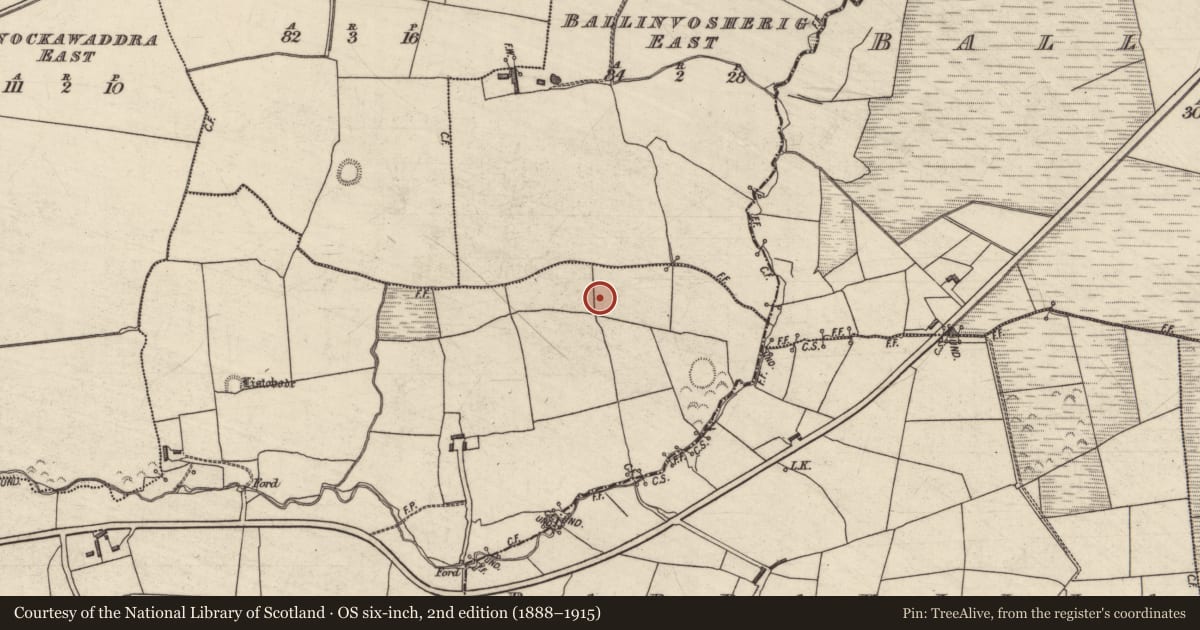 Ordnance Survey six-inch map, 2nd edition (1888–1915) covering the location of Earthwork, Ballinorig East, County Kerry, with a pin at the register's coordinates
