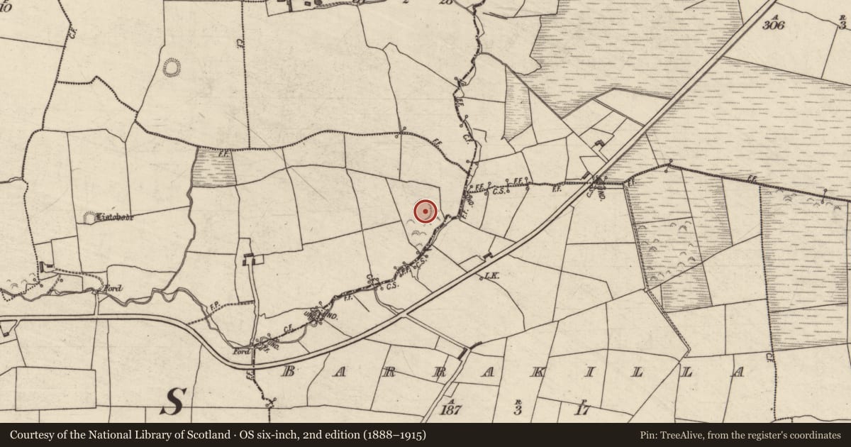Ordnance Survey six-inch map, 2nd edition (1888–1915) covering the location of Ringfort - rath, Ballinorig East, County Kerry, with a pin at the register's coordinates