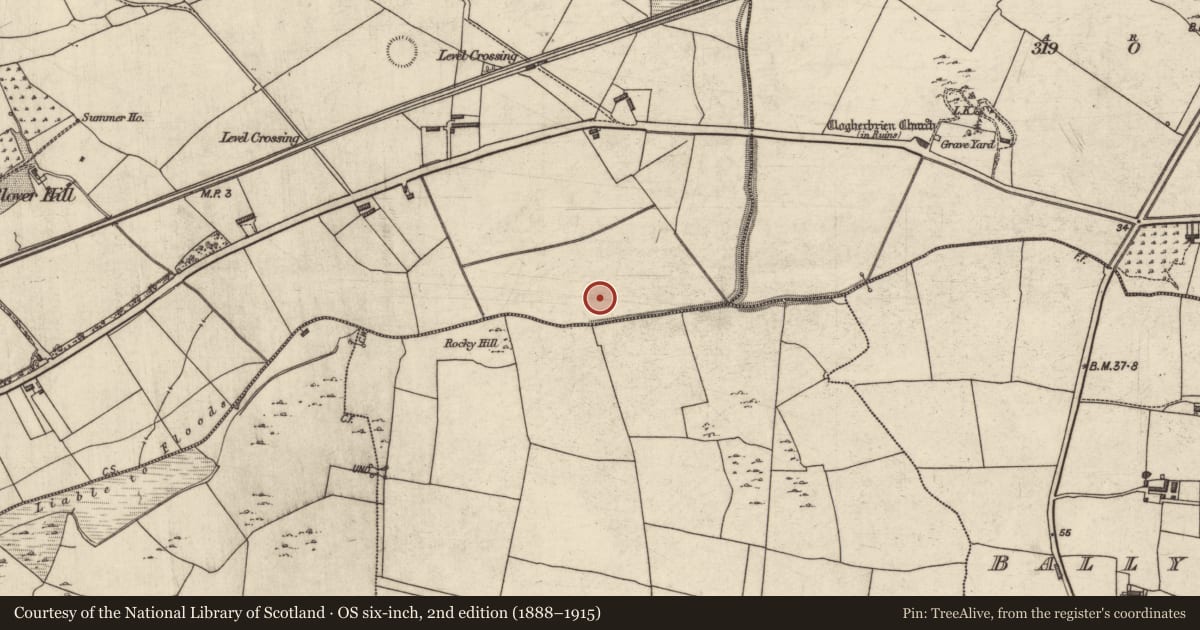 Ordnance Survey six-inch map, 2nd edition (1888–1915) covering the location of Fulacht fia, Knockanush East, County Kerry, with a pin at the register's coordinates