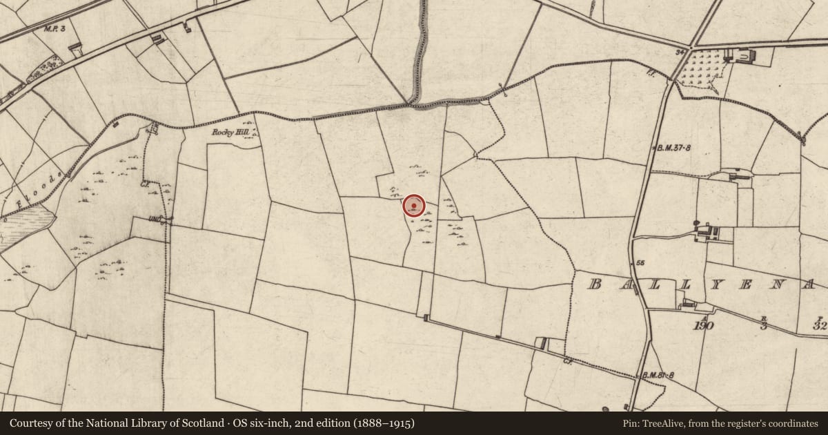 Ordnance Survey six-inch map, 2nd edition (1888–1915) covering the location of Field system, Kerries East, County Kerry, with a pin at the register's coordinates