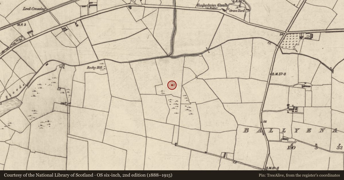 Ordnance Survey six-inch map, 2nd edition (1888–1915) covering the location of Enclosure, Kerries East, County Kerry, with a pin at the register's coordinates