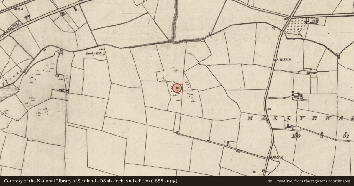 Ordnance Survey six-inch map, 2nd edition (1888–1915) covering the location of Enclosure, Kerries East, County Kerry, with a pin at the register's coordinates