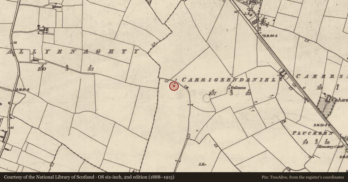 Ordnance Survey six-inch map, 2nd edition (1888–1915) covering the location of Enclosure, Farranstephen, County Kerry, with a pin at the register's coordinates