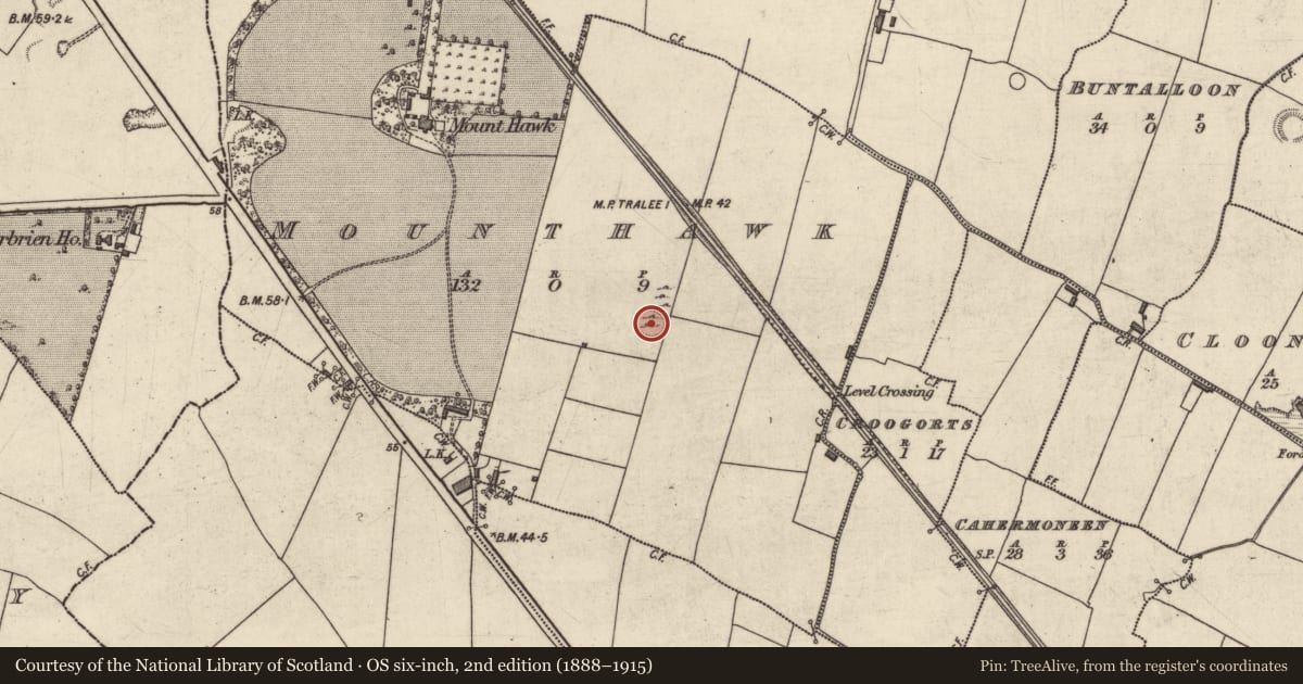 Ordnance Survey six-inch map, 2nd edition (1888–1915) covering the location of Enclosure, Mounthawk, County Kerry, with a pin at the register's coordinates
