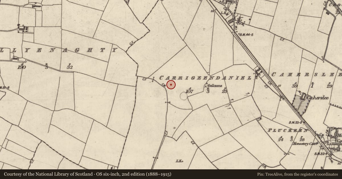 Ordnance Survey six-inch map, 2nd edition (1888–1915) covering the location of Enclosure, Carrigeendaniel, County Kerry, with a pin at the register's coordinates