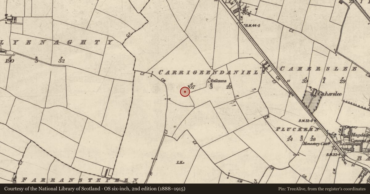 Ordnance Survey six-inch map, 2nd edition (1888–1915) covering the location of Enclosure, Carrigeendaniel, County Kerry, with a pin at the register's coordinates