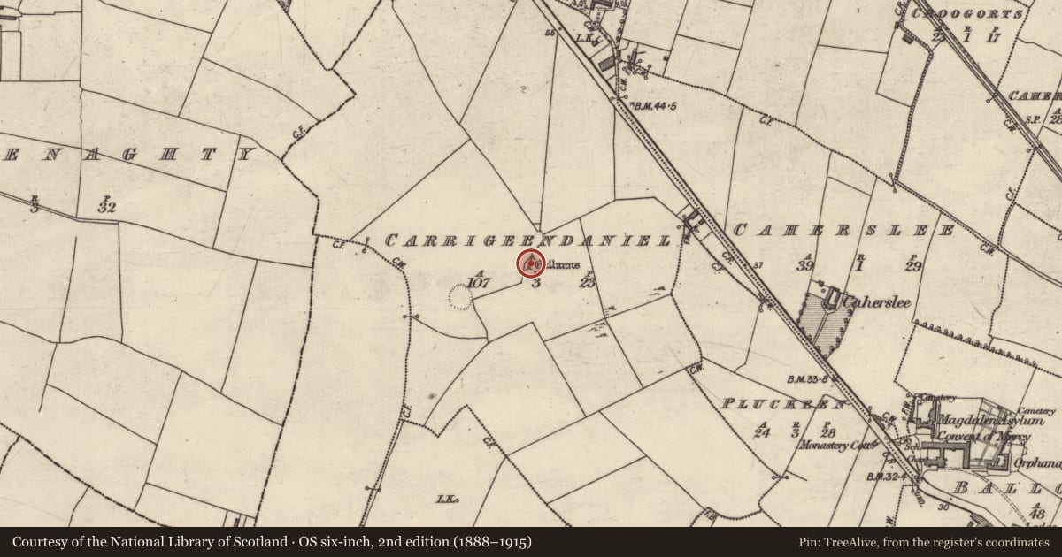 Ordnance Survey six-inch map, 2nd edition (1888–1915) covering the location of Standing stone, Carrigeendaniel, County Kerry, with a pin at the register's coordinates