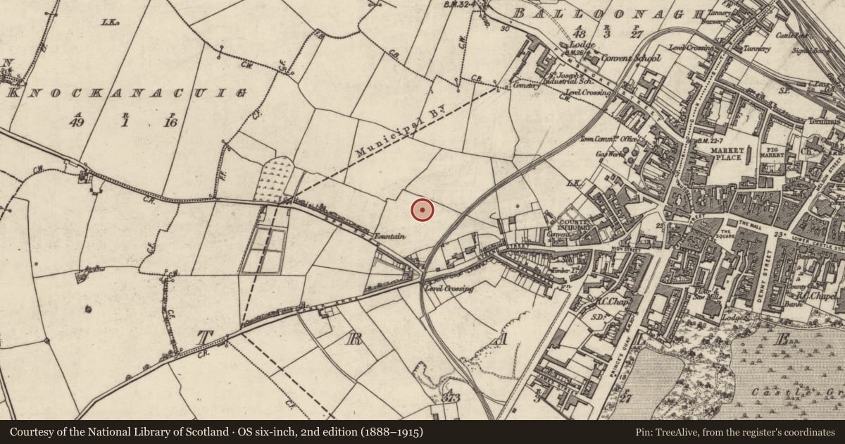 Ordnance Survey six-inch map, 2nd edition (1888–1915) covering the location of Souterrain, Tralee, County Kerry, with a pin at the register's coordinates