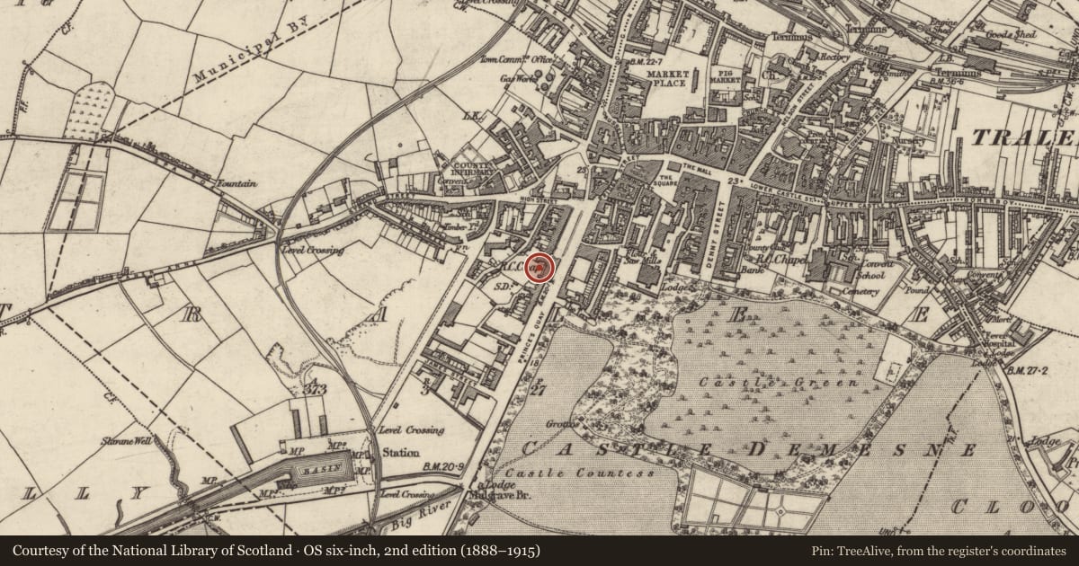 Ordnance Survey six-inch map, 2nd edition (1888–1915) covering the location of Graveslab (present location), Tralee, County Kerry, with a pin at the register's coordinates