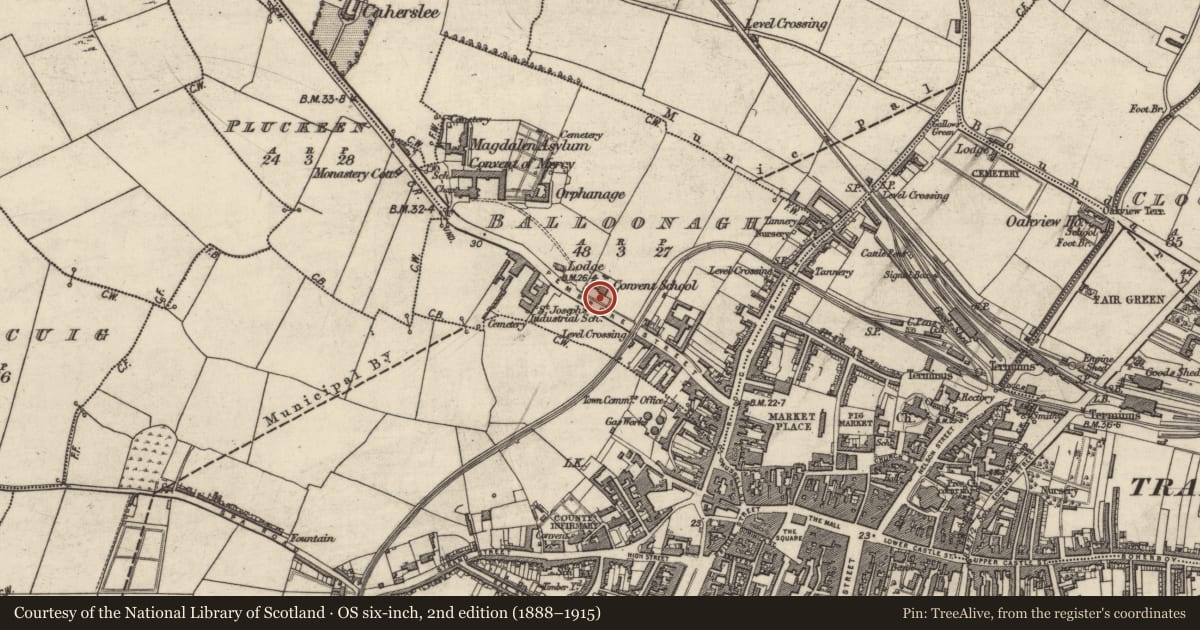 Ordnance Survey six-inch map, 2nd edition (1888–1915) covering the location of Castle - unclassified, Balloonagh, County Kerry, with a pin at the register's coordinates