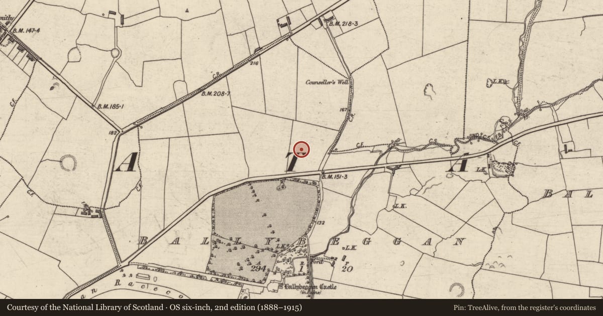 Ordnance Survey six-inch map, 2nd edition (1888–1915) covering the location of Enclosure, Ballybeggan, County Kerry, with a pin at the register's coordinates