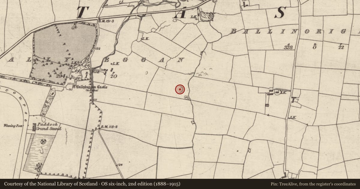 Ordnance Survey six-inch map, 2nd edition (1888–1915) covering the location of Ringfort - rath, Ballybeggan, County Kerry, with a pin at the register's coordinates