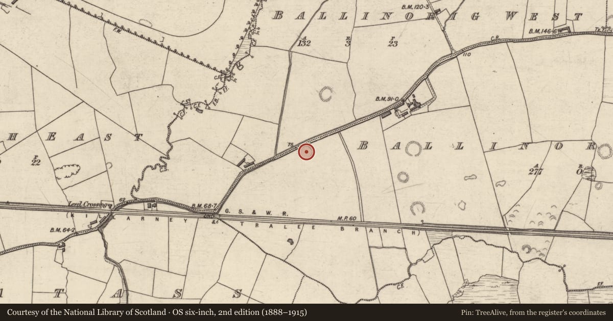 Ordnance Survey six-inch map, 2nd edition (1888–1915) covering the location of Enclosure, Ballinorig South, County Kerry, with a pin at the register's coordinates