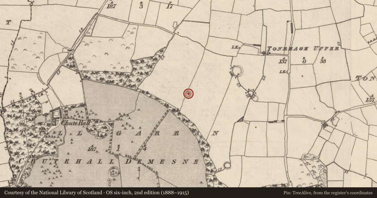 Ordnance Survey six-inch map, 2nd edition (1888–1915) covering the location of Ringfort - rath, Tullygarran, County Kerry, with a pin at the register's coordinates