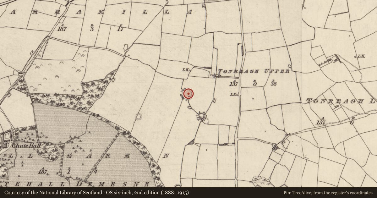 Ordnance Survey six-inch map, 2nd edition (1888–1915) covering the location of Ringfort - rath, Barrakilla, Tullygarran, County Kerry, with a pin at the register's coordinates
