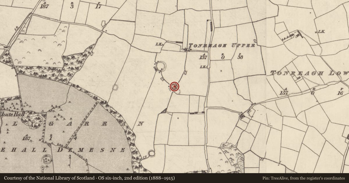 Ordnance Survey six-inch map, 2nd edition (1888–1915) covering the location of Ringfort - rath, County Kerry, with a pin at the register's coordinates