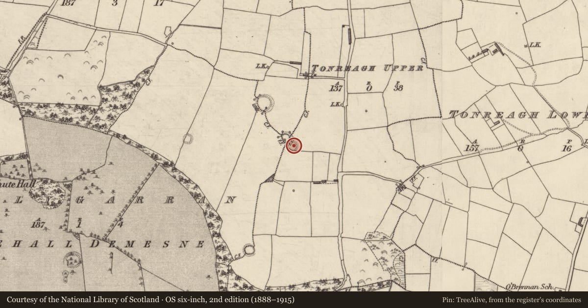 Ordnance Survey six-inch map, 2nd edition (1888–1915) covering the location of Ringfort - rath, Tonreagh Upper, County Kerry, with a pin at the register's coordinates