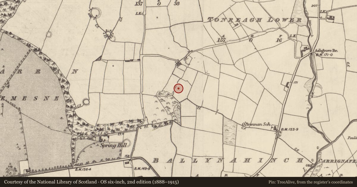 Ordnance Survey six-inch map, 2nd edition (1888–1915) covering the location of Fulacht fia, Tonreagh Lower, County Kerry, with a pin at the register's coordinates