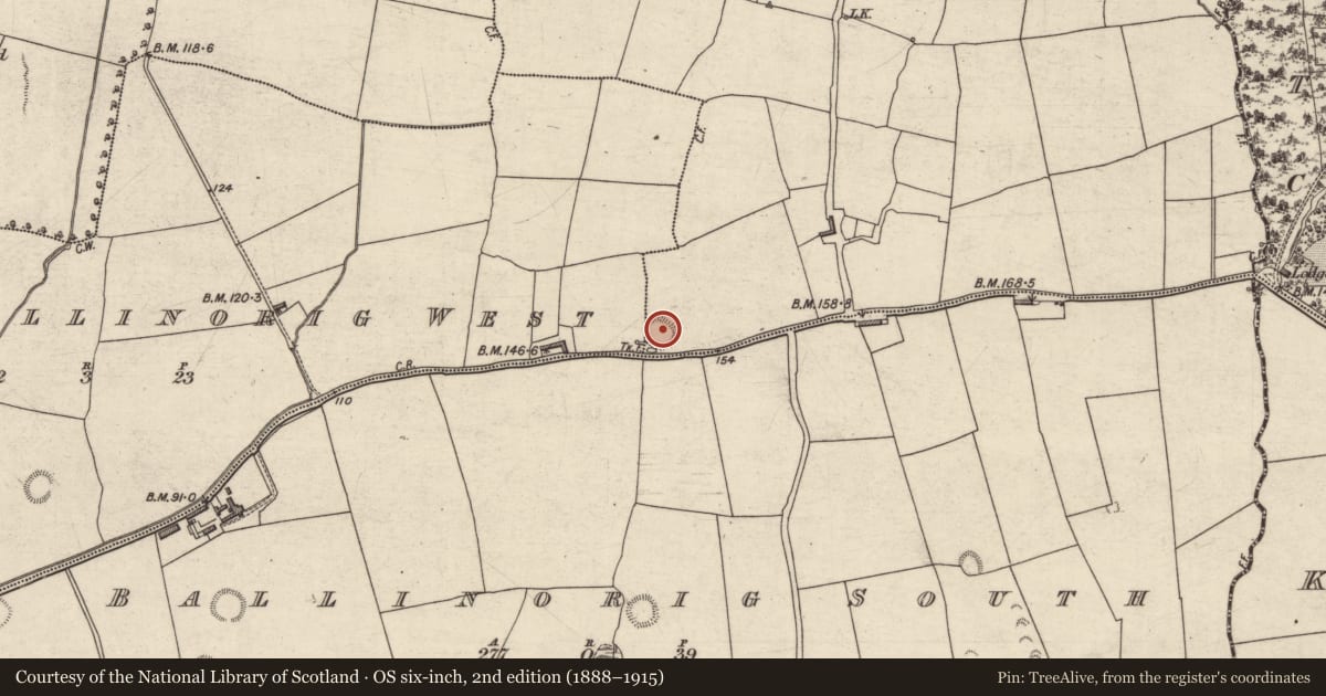 Ordnance Survey six-inch map, 2nd edition (1888–1915) covering the location of Ringfort - rath, Ballinorig East, Ballinorig West, County Kerry, with a pin at the register's coordinates