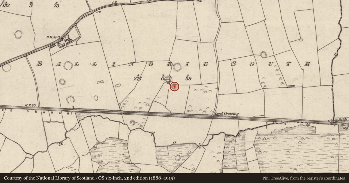 Ordnance Survey six-inch map, 2nd edition (1888–1915) covering the location of Barrow - mound barrow, Ballinorig South, County Kerry, with a pin at the register's coordinates