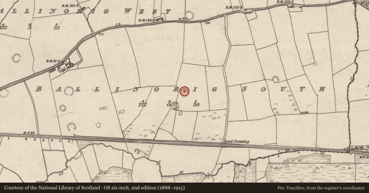 Ordnance Survey six-inch map, 2nd edition (1888–1915) covering the location of Ringfort - rath, Ballinorig South, County Kerry, with a pin at the register's coordinates