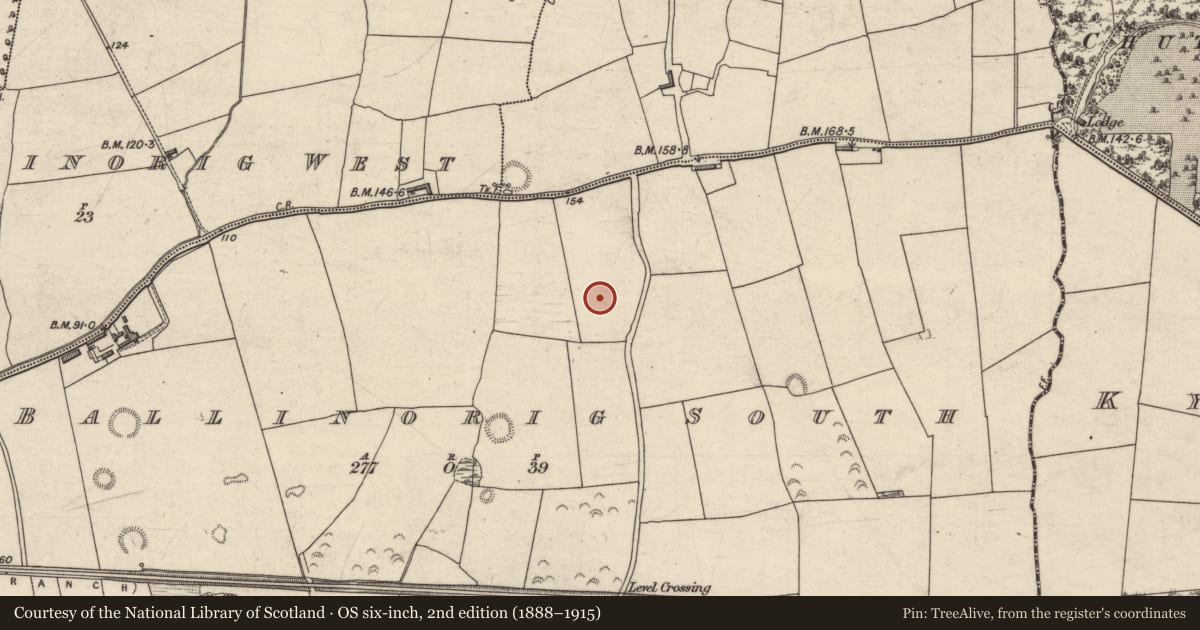 Ordnance Survey six-inch map, 2nd edition (1888–1915) covering the location of Enclosure, Ballinorig South, County Kerry, with a pin at the register's coordinates