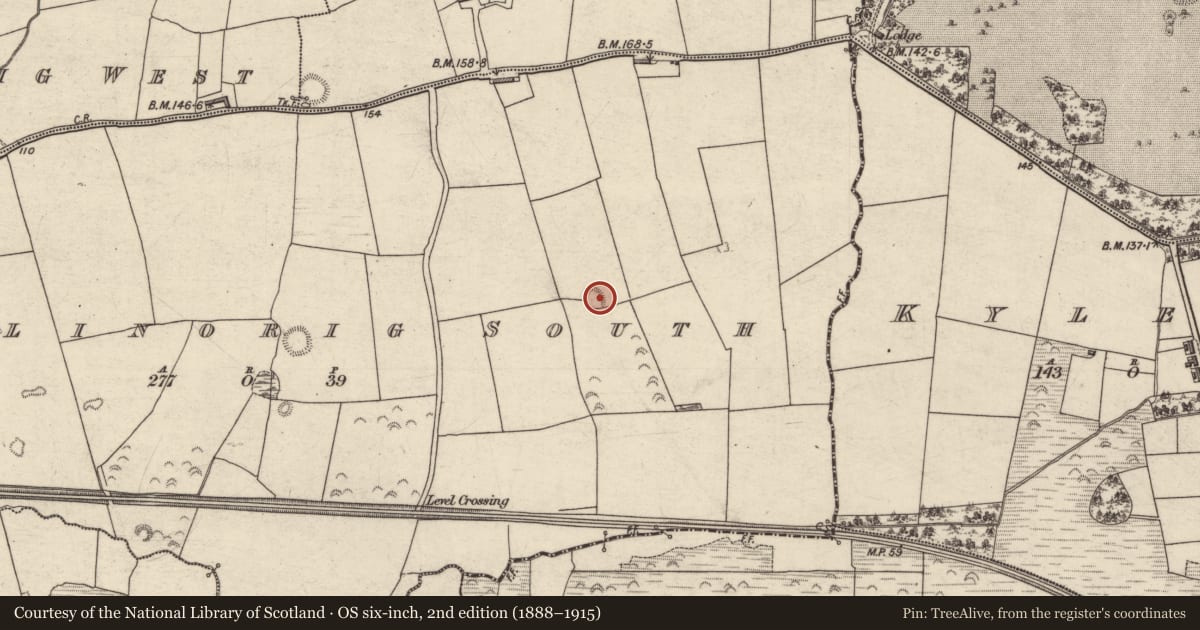 Ordnance Survey six-inch map, 2nd edition (1888–1915) covering the location of Ringfort - rath, Ballinorig South, County Kerry, with a pin at the register's coordinates