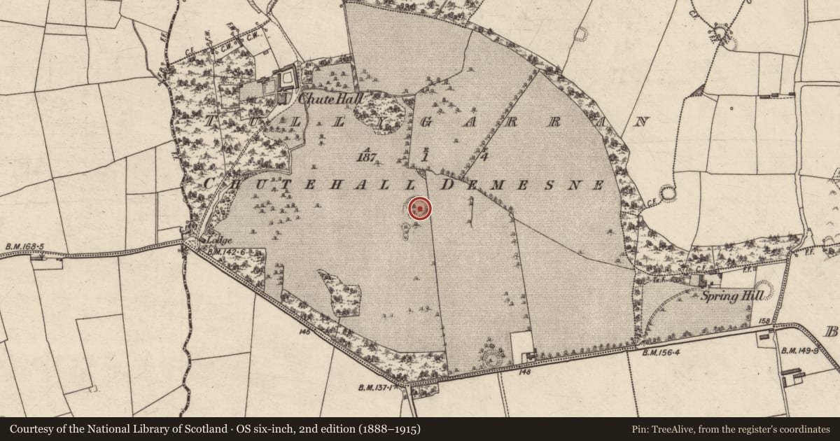 Ordnance Survey six-inch map, 2nd edition (1888–1915) covering the location of Ringfort - rath, Tullygarran, County Kerry, with a pin at the register's coordinates