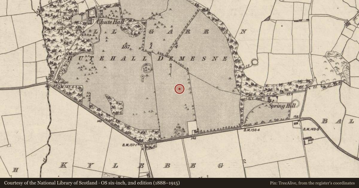 Ordnance Survey six-inch map, 2nd edition (1888–1915) covering the location of Enclosure, Tullygarran, County Kerry, with a pin at the register's coordinates