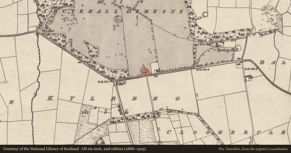Ordnance Survey six-inch map, 2nd edition (1888–1915) covering the location of Ringfort - rath, Tullygarran, County Kerry, with a pin at the register's coordinates