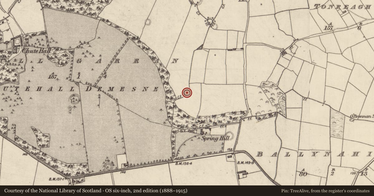 Ordnance Survey six-inch map, 2nd edition (1888–1915) covering the location of Ringfort - rath, Tonreagh Upper, Tullygarran, County Kerry, with a pin at the register's coordinates