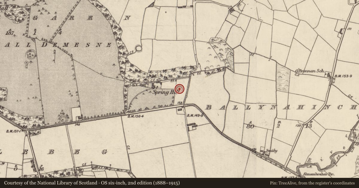 Ordnance Survey six-inch map, 2nd edition (1888–1915) covering the location of Ringfort - rath, Clogherclemin, County Kerry, with a pin at the register's coordinates
