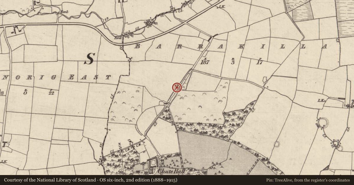 Ordnance Survey six-inch map, 2nd edition (1888–1915) covering the location of Enclosure, Barrakilla, County Kerry, with a pin at the register's coordinates