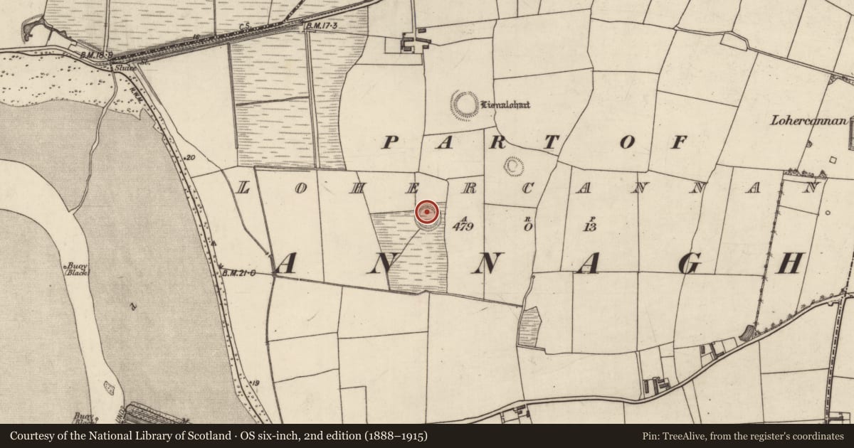 Ordnance Survey six-inch map, 2nd edition (1888–1915) covering the location of Ringfort - rath, Lohercannan, County Kerry, with a pin at the register's coordinates