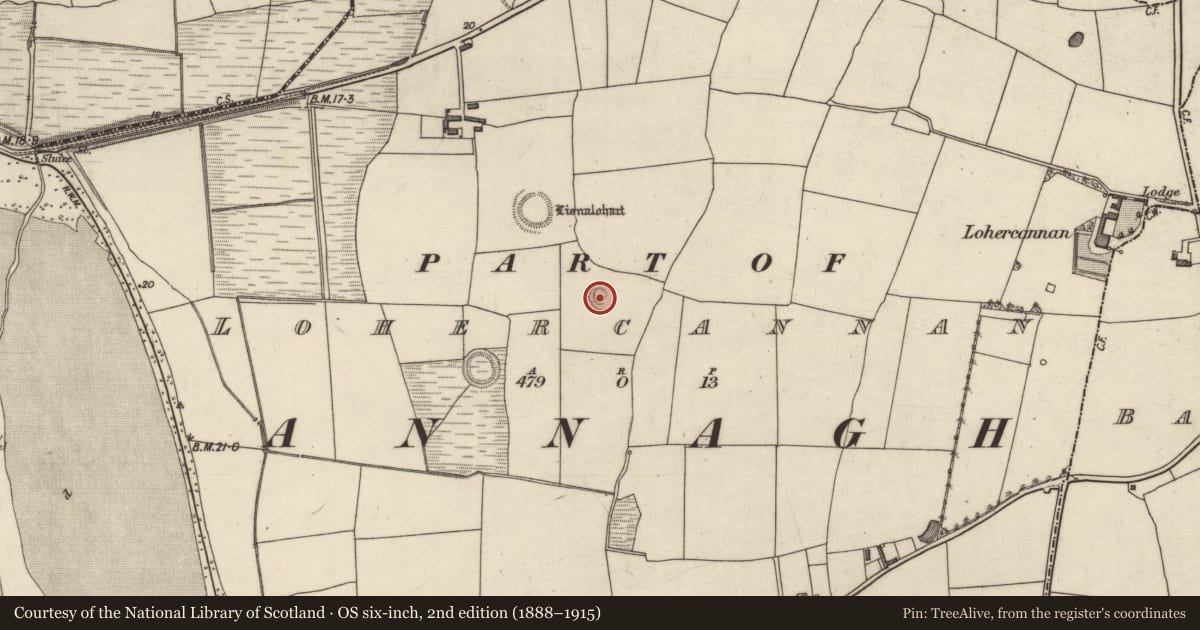Ordnance Survey six-inch map, 2nd edition (1888–1915) covering the location of Enclosure, Lohercannan, County Kerry, with a pin at the register's coordinates